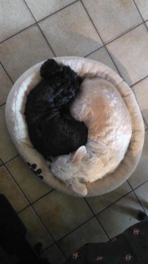 Petit Chez Soi Dans Mon Petit Chez Moi